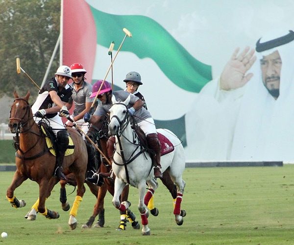 Battle for Sultan Bin Zayed Cup semi-finals hots up
