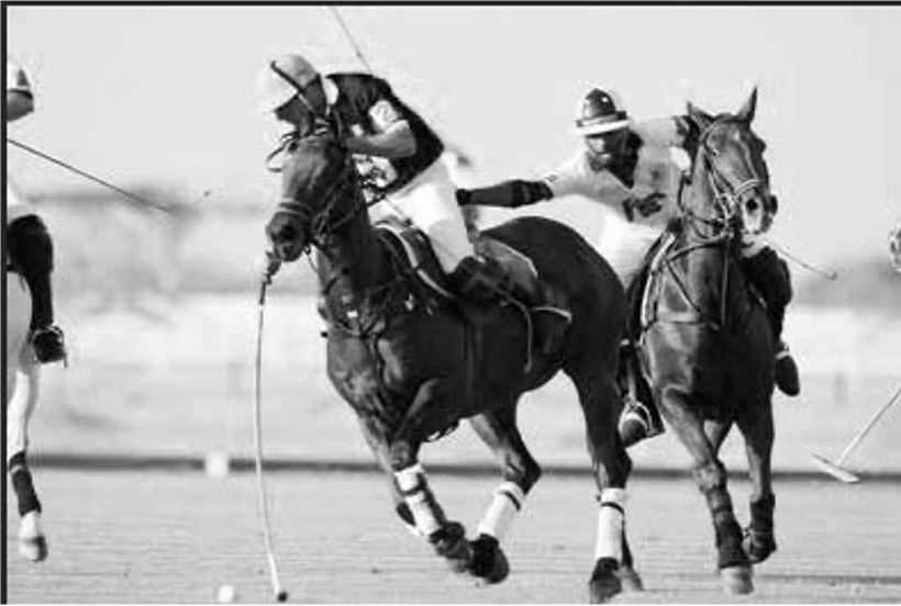 The start of the Sultan Bin Zayed Polo Cup competitions today