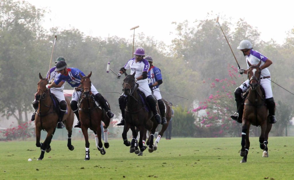 Polo cup