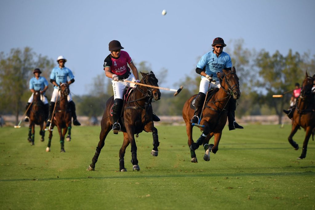 HH President of UAE Cup glory for Desert Palm