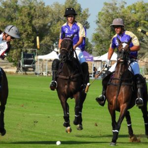 polo players 2, 3, and 4